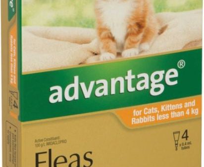 Advantage Flea Treatment For Cats & Rabbits Under 4kg - 4 Pack Online now