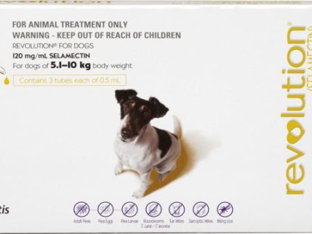 Revolution Flea Treatment For Dogs 5-10kg - 3 Pack Fashion