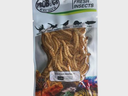 PRO BUGS MEALWORMS 20G For Cheap