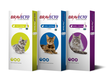 BRAVECTO CAT Cheap