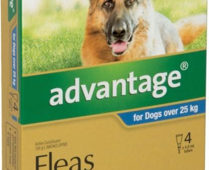 Advantage Flea Treatment For Dogs Over 25kg - 4 Pack For Cheap