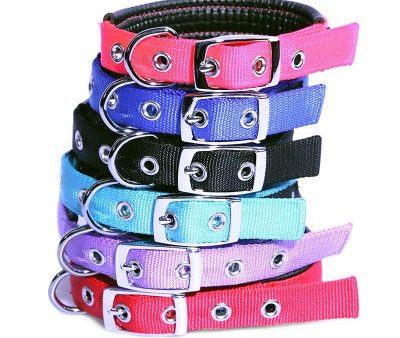 PET ONE COMFY COLLAR on Sale