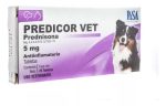 Predicor Vet 5 mg (Prednisona) (Tableta) For Discount