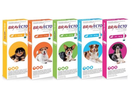 BRAVECTO DOG Online