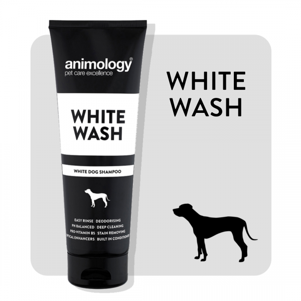 ANIMOLOGY WHITE WASH Supply