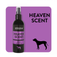 ANIMOLOGY HEAVEN CNT on Sale