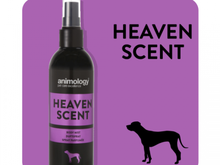 ANIMOLOGY HEAVEN CNT on Sale