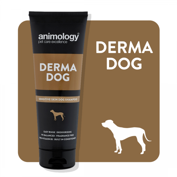 ANIMOLOGY DERMA DOG Sale