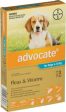 Advocate Flea Treatment For Dogs 4-10kg - 3 Pack Supply