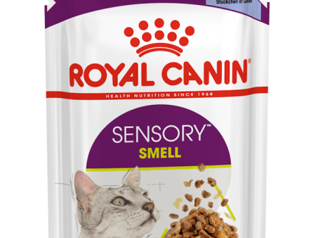 ROYAL CANIN SENSORY SMELL WET CAT FOOD Fashion