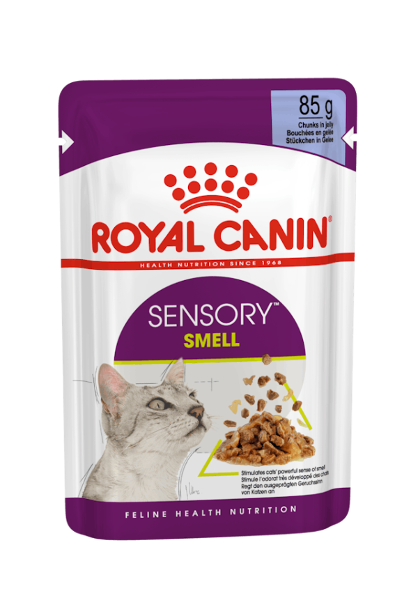 ROYAL CANIN SENSORY SMELL WET CAT FOOD Fashion