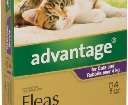 Advantage Flea Treatment For Cats & Rabbits Over 4kg Cheap