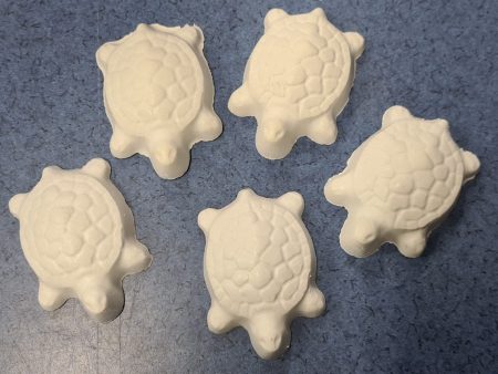 TURTLE CALCIUM BLOCK Online