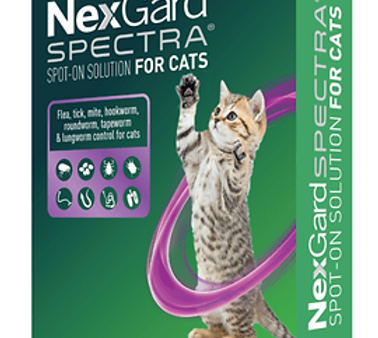 NEXGARD SPECTRA FOR CATS & KITTENS Supply