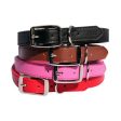 Pet One Leather Collar Hot on Sale