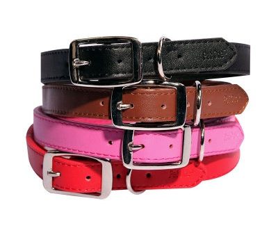 Pet One Leather Collar Hot on Sale