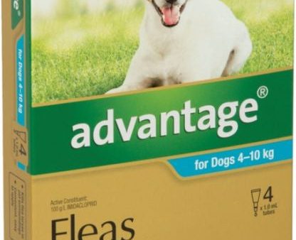 Advantage Flea Treatment For Dogs 4-10kg - 4 Pack Online now