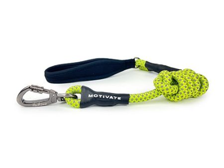 HUSKIMO MOTIVATE LEAD on Sale