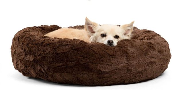 CALMING DOG BED For Cheap