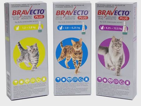 BRAVECTO PLUS CAT Sale