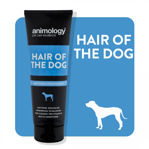 ANIMOLOGY HAIR OF THE DOG Hot on Sale