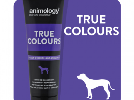 ANIMOLOGY TRUE COLOR Fashion