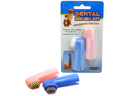 DENTAL BRUSH KIT Supply