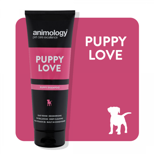 ANIMOLOGY PUPPY LOVE Cheap