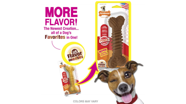 NYLABONE DURA CHEW PLUS Cheap