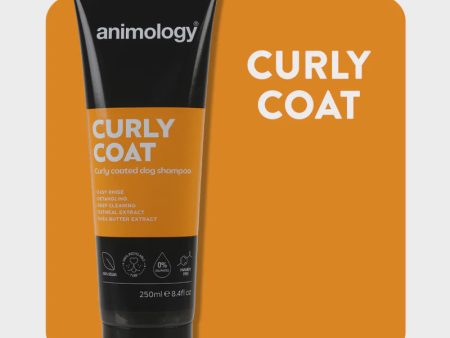 ANIMOLOGY CURLY COAT For Sale