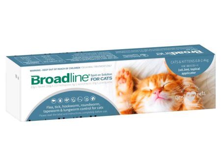 BROADLINE CAT\KITTEN Cheap