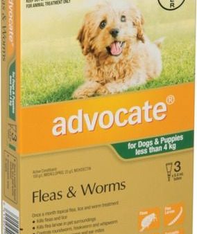 Advocate Flea Treatment For Dogs Under 4kg - 3 Pack Online Sale