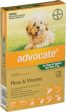 Advocate Flea Treatment For Dogs Under 4kg - 3 Pack Online Sale