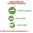 ROYAL CANIN OUTDOOR CAT FOOD 2KG Online Sale