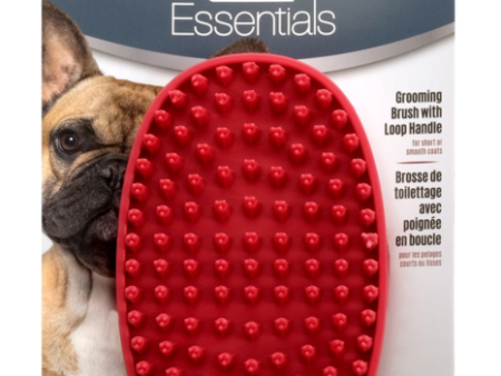 Le Salon Essentials Dog Rubber Grooming Brush With Loop Handle Hot on Sale