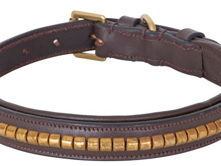 CAVALLINO BRASS CLINCHER LEATHER DOG COLLAR Discount