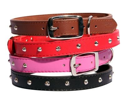 Pet One Leather Studded Collar Fashion