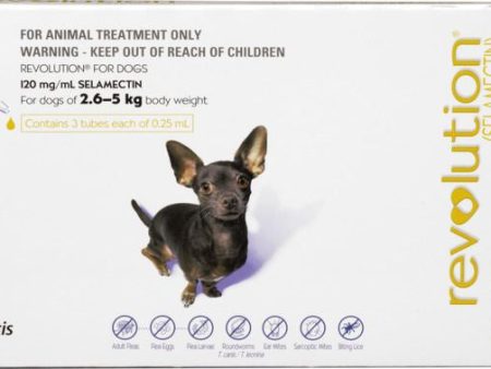 Revolution Flea Treatment For Dogs 2.6-5kg - 3 Pack Online now