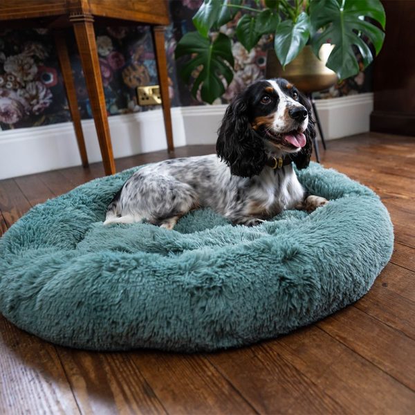 CALMING DOG BED For Cheap