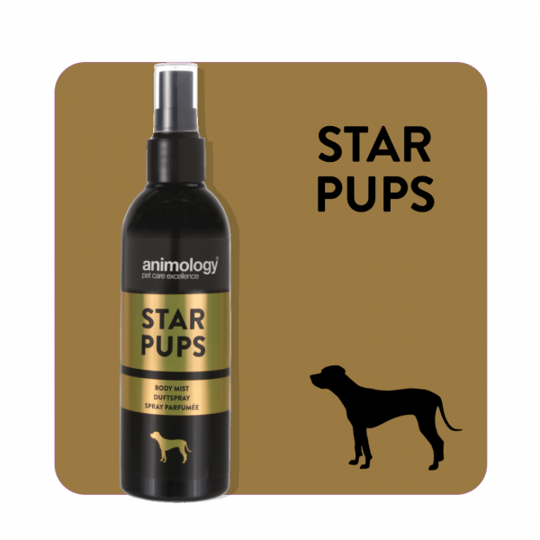 ANIMOLOGY STAR PUPS Online